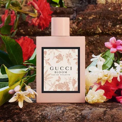 gucci bloom parfum femme|Gucci Bloom perfume smell.